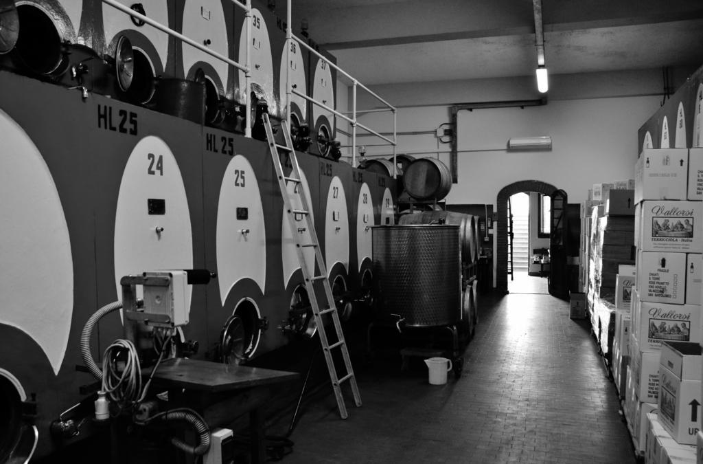 Azienda Agricola E Agriturismo Vallorsi Terricciola 外观 照片